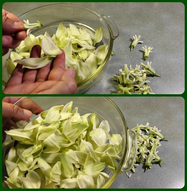 x preparing yucca flowers.jpg