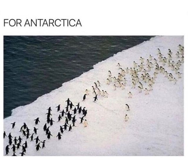 The-last-stand-of-the-penguins.jpg