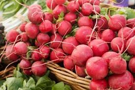 radishes.jpg