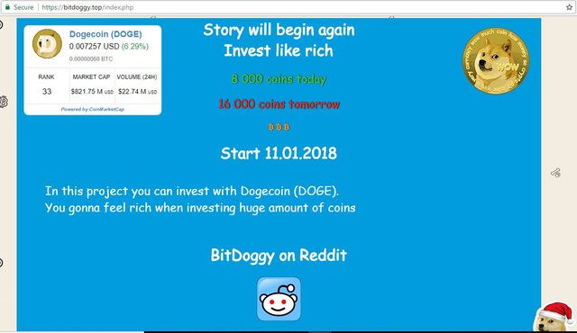 doge.JPG
