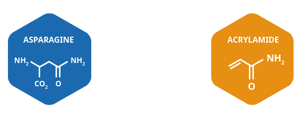 why-asparagine-acrylamide.png