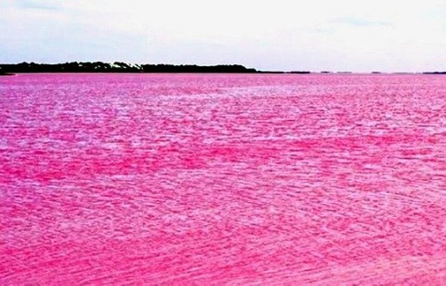lago-rosa4.jpg