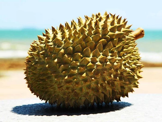 Durian.png