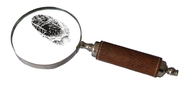 magnifying-2681372_640.png
