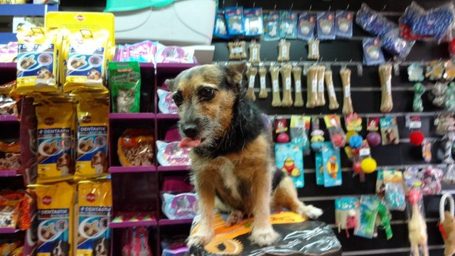 eni in shop tongue out