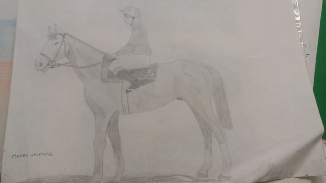 20171007_223502.jpg