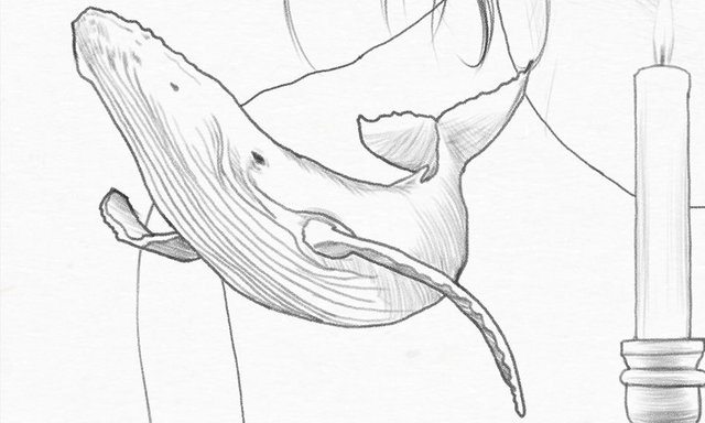 WHALE_DETAIL_LOW.jpg