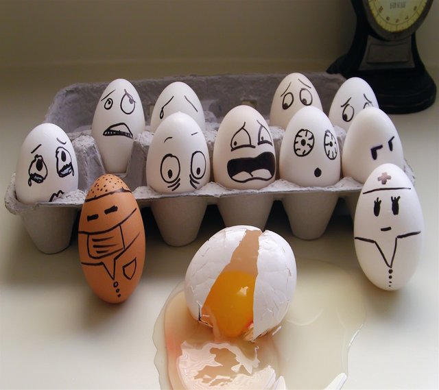 funny_eggs-wallpaper-11205740.jpg