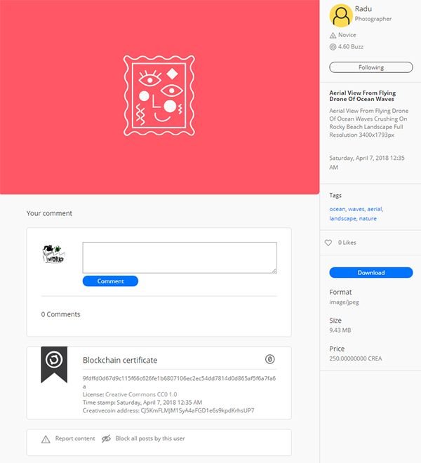 Creativechainradu2.jpg