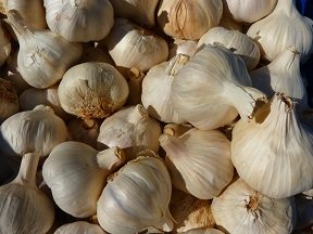 Garlic-Sharp-Spice-Medicinal-Plant-Clove-Of-Garlic-5371.jpg