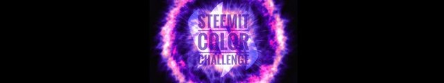 steemit color challenge violet banner.jpg