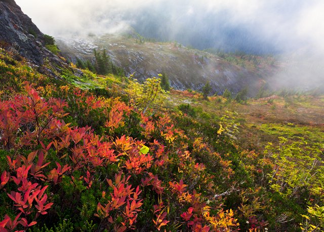 Adventures-NW-Floris-van-Breugel-Autumn-North-Cascades-Photography-2.jpg