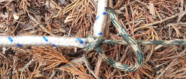 Back Acres: Useful Knots and Tow Strapping Brush with a Double Half-Hitch  Slip Knot — Steemit