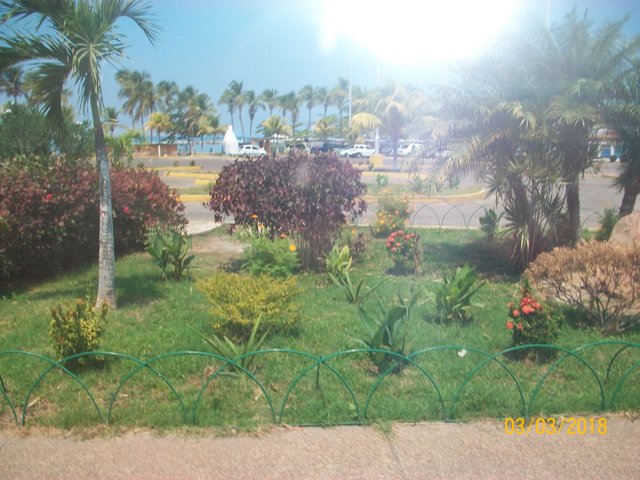 EL PROPIO JARDIN.JPG