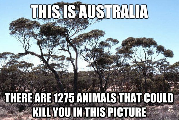 Australia-Meme-7.png