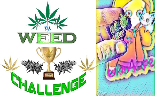 Weed challenge wednesday kid4life.png