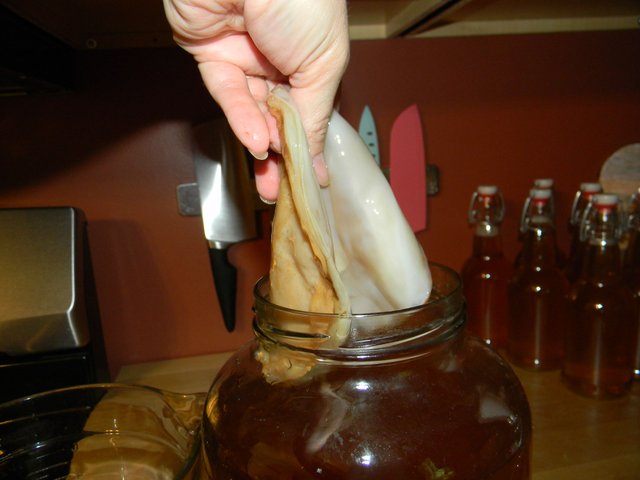 pickingupscoby.JPG