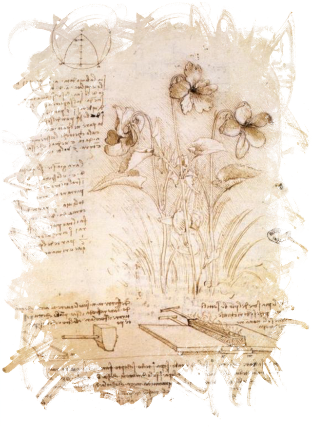 leonardo-da-vinci-1763264_1280.png