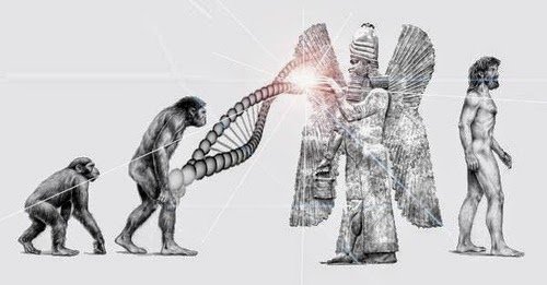 Mankind-Human-Species-Missing-Link-the-Anunnaki.jpg