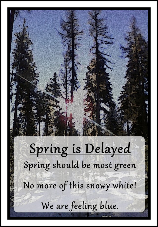 Spring_is_Delayed.jpg