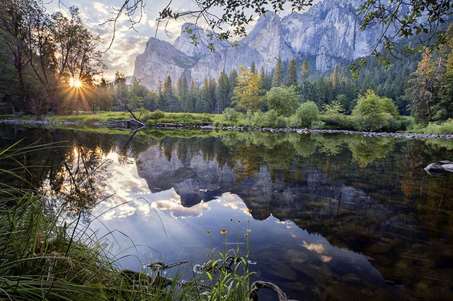 Yosemite-National-Park-Patino__880.jpg