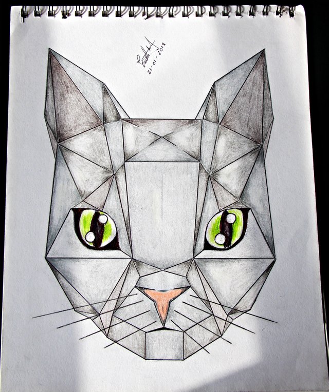 gato geometrico.JPG