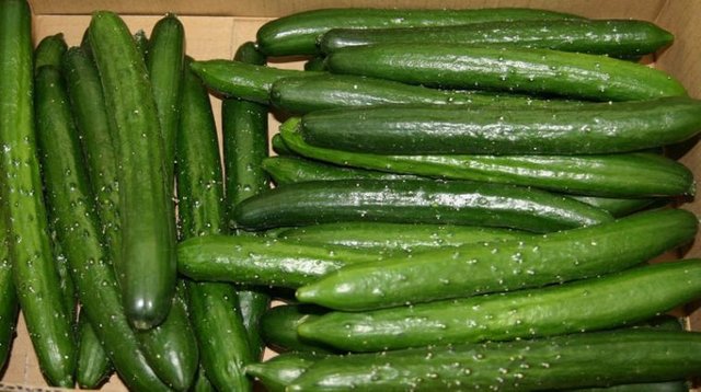 japanese-cucumber-758x424.jpg