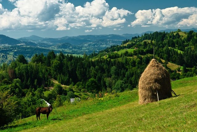 romania-countryside-2-1024x685.jpg