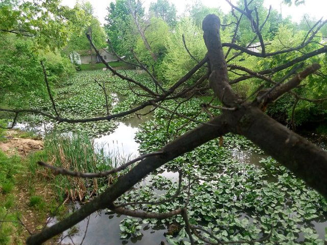 20180515_151709.jpg