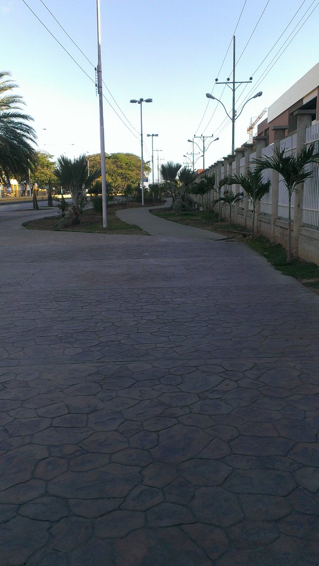 IMAG0318.jpg