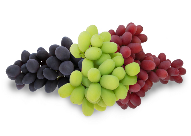 grapes-1.png