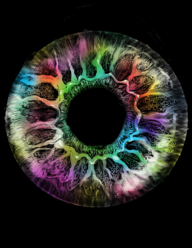 eye (1 of 1).jpg