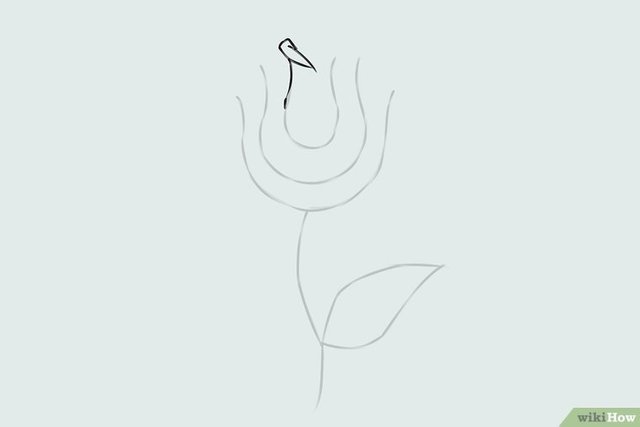 v4-759px-Draw-a-Flower-Step-3.jpg