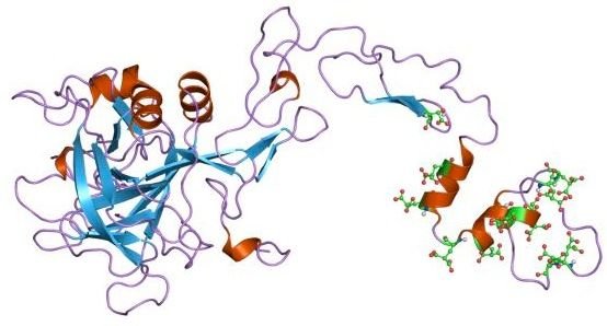 PDB_1pfx_EBI.jpg