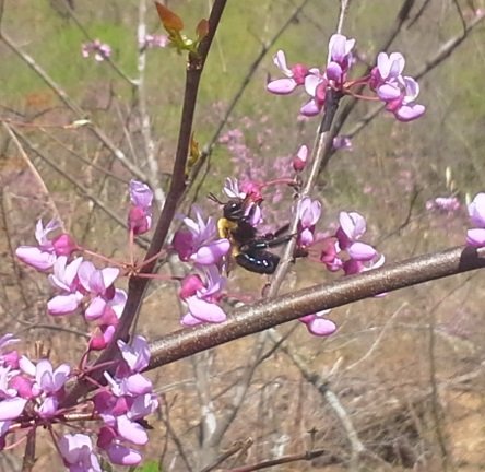 20150412_153810.jpg