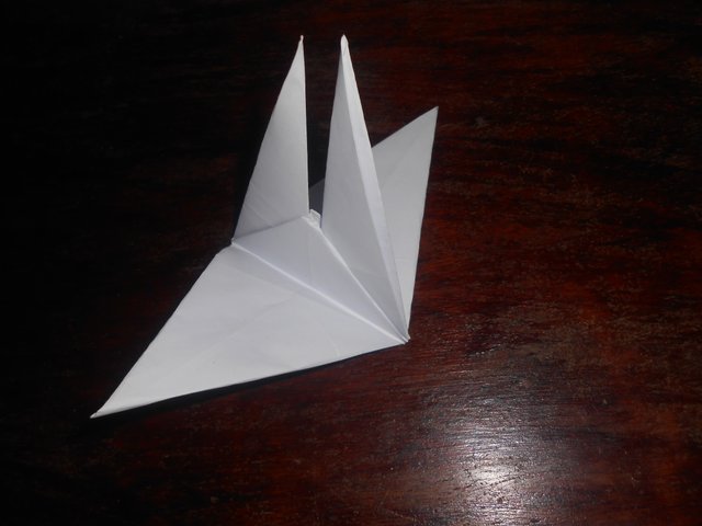 DSCN5855.JPG