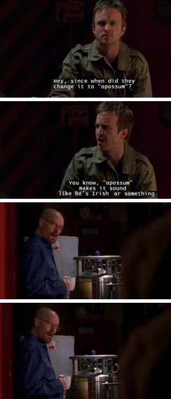 9d159b30d7a2fe7fd9ccb69d77fd3bf8--breaking-bad-quotes-breaking-bad-jesse.jpg