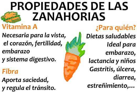 zanahoria-propiedades-vitaminas.jpg