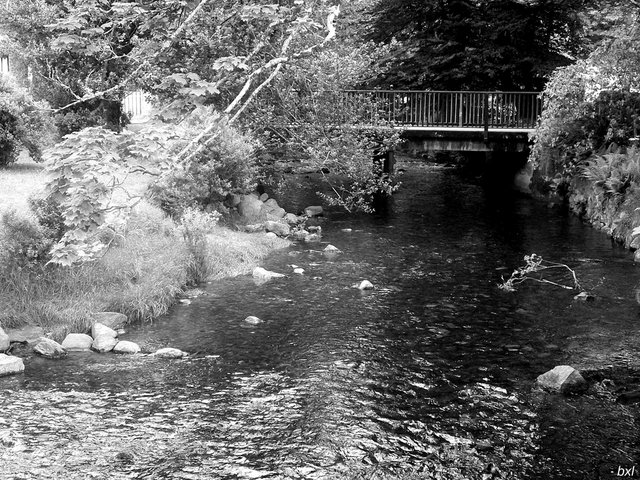 Irish river bw photocontest bxlphabet.jpg