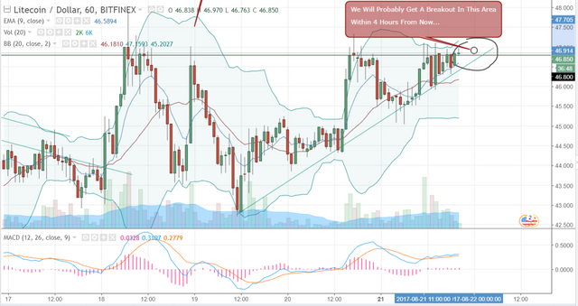 FireShot Capture 310 - LTCUSD_ 46.850 ▲+2.55% - Unnam_ - https___www.tradingview.com_chart_AxIWekrr_.png