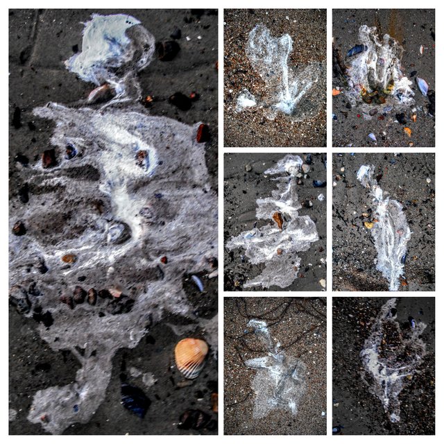 DSCF4575-COLLAGE.jpg
