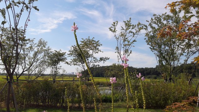 20170914_150113.jpg