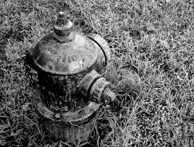 Hydrant__MONO__GIMP__P1030509.JPG