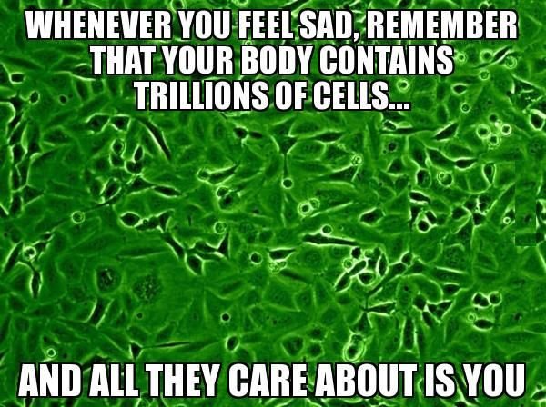 Cells.jpg