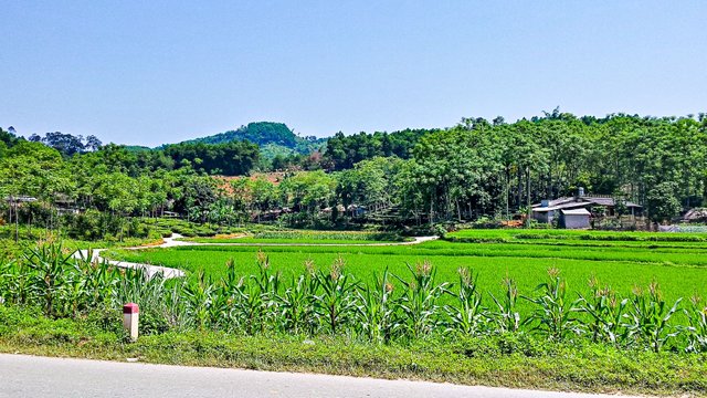 20150414_101758_HDR.jpg
