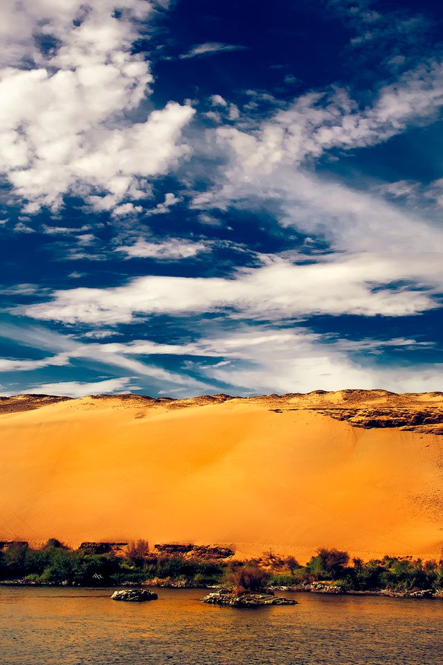 The-golden-dunes.jpg