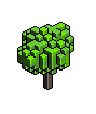 redmaple_sapling_latesummer.iso.png