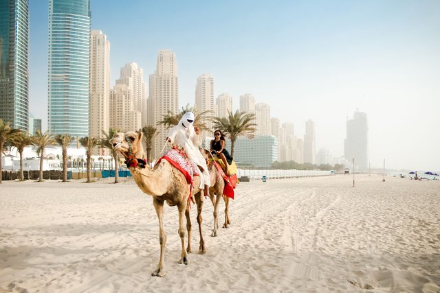 CJ Miles Riding a Camel in Dubai Marina.jpg