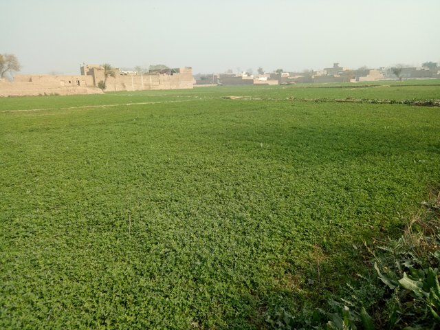 IMG20180127125030.jpg