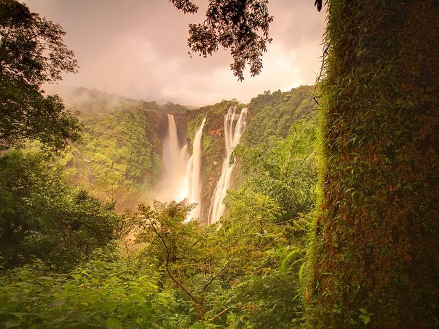 waterfalls-Jog-GettyImages-141766066.jpg